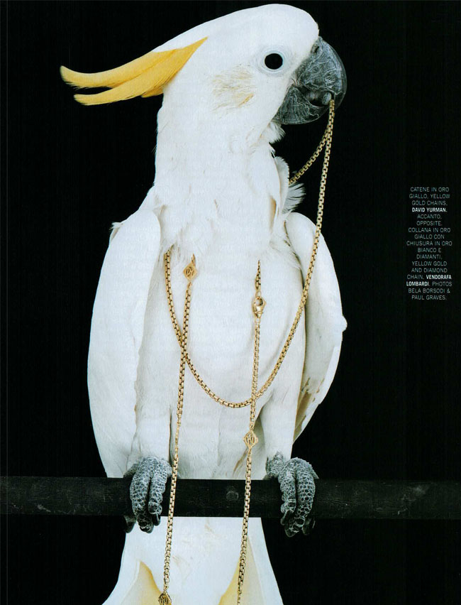 01-2005-004-VogueGioiello-Jewelry-ParrotsInChains-White-Bird-Gold-Chain