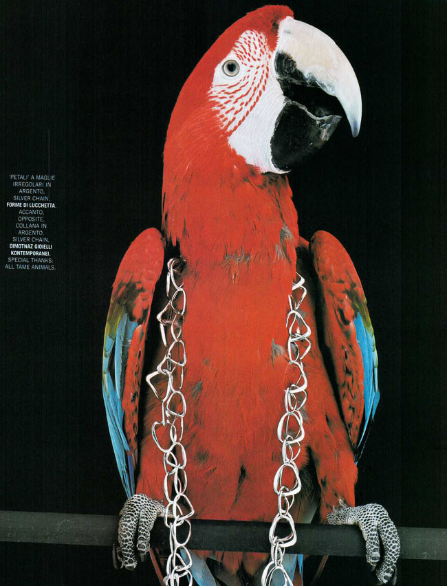 01-2005-005-VogueGioiello-Jewelry-ParrotsInChains-Red-Bird-Silver-Chain