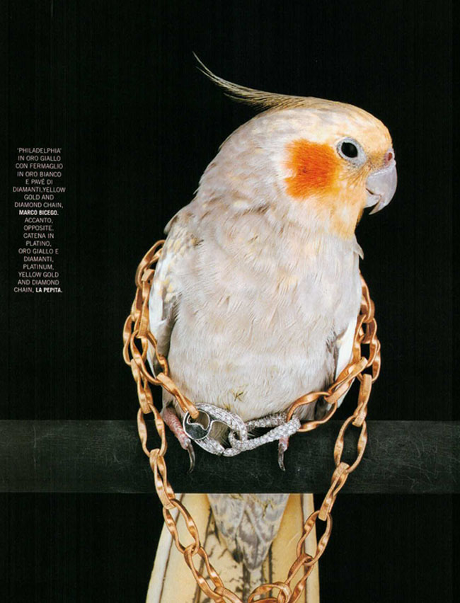 01-2005-006-VogueGioiello-Jewelry-ParrotsInChains-White-Bird-Gold-Diamond-Chain