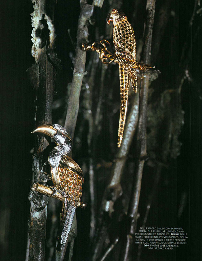 03-04-2004-013-VogueGioiello-Jewelry-Brooch-Birds-Gols-Nature (2)